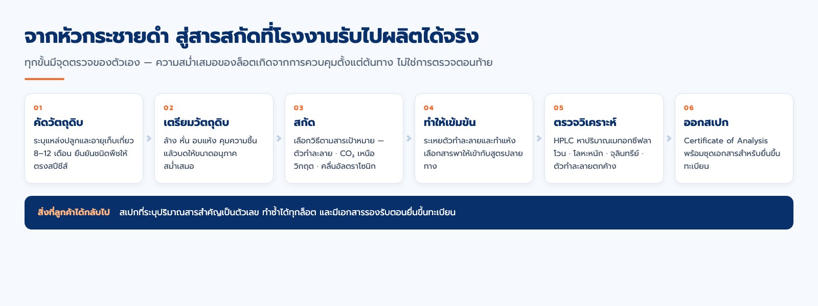 tibd-black-ginger-process แผนภาพขั้นตอนการผลิตสารสกัดกระชายดำ 6 ขั้นตอน ตั้งแต่คัดวัตถุดิบถึงออกสเปก