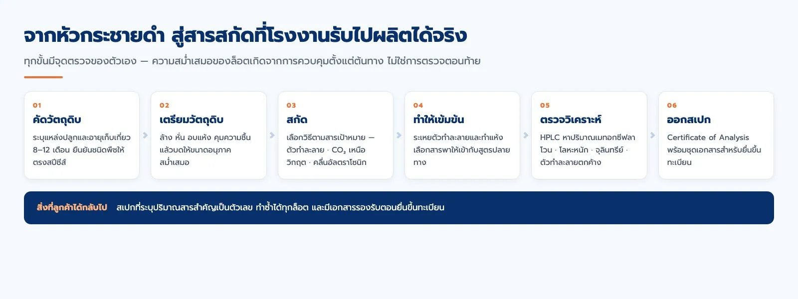แผนภาพขั้นตอนการผลิตสารสกัดกระชายดำ 6 ขั้นตอน ตั้งแต่คัดวัตถุดิบถึงออกสเปก