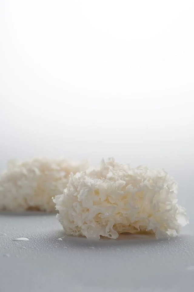 Mushroom raw material