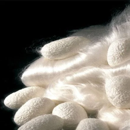 Silk cocoons