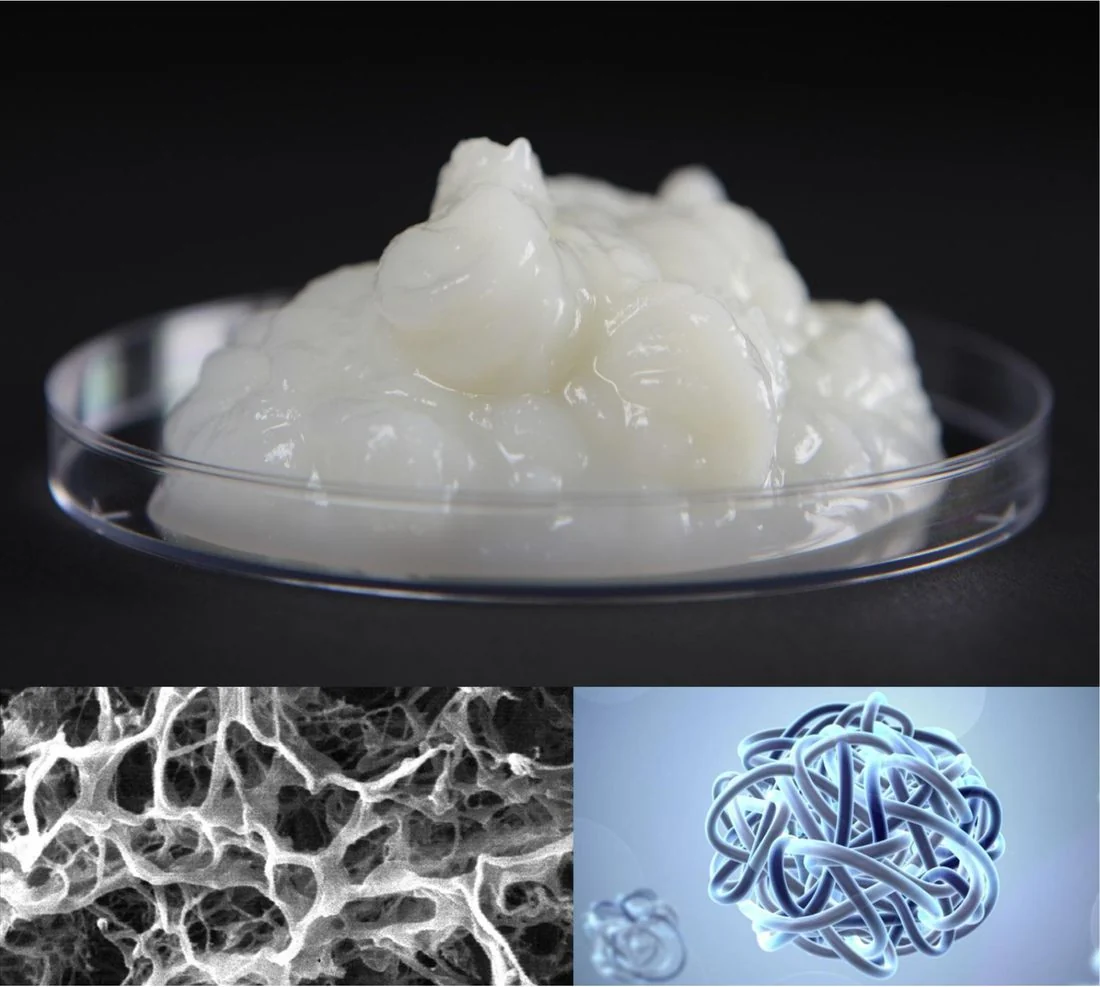 Silk Crystal gel with its network structure