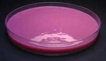 Pink gel of Silk Crystal Gold Complex in a dish