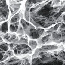 Silk Crystal network under the electron microscope