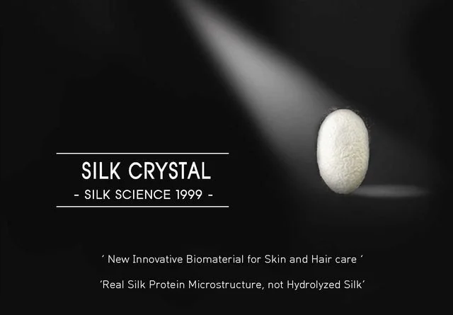 Silk Crystal concept slide showing a silk cocoon