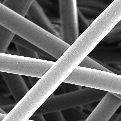 Silk fibers