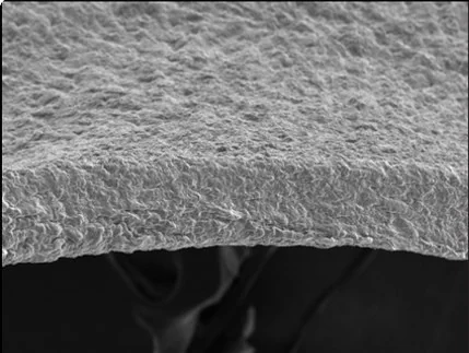 Edge view of the silk-fibroin sheet under the electron microscope